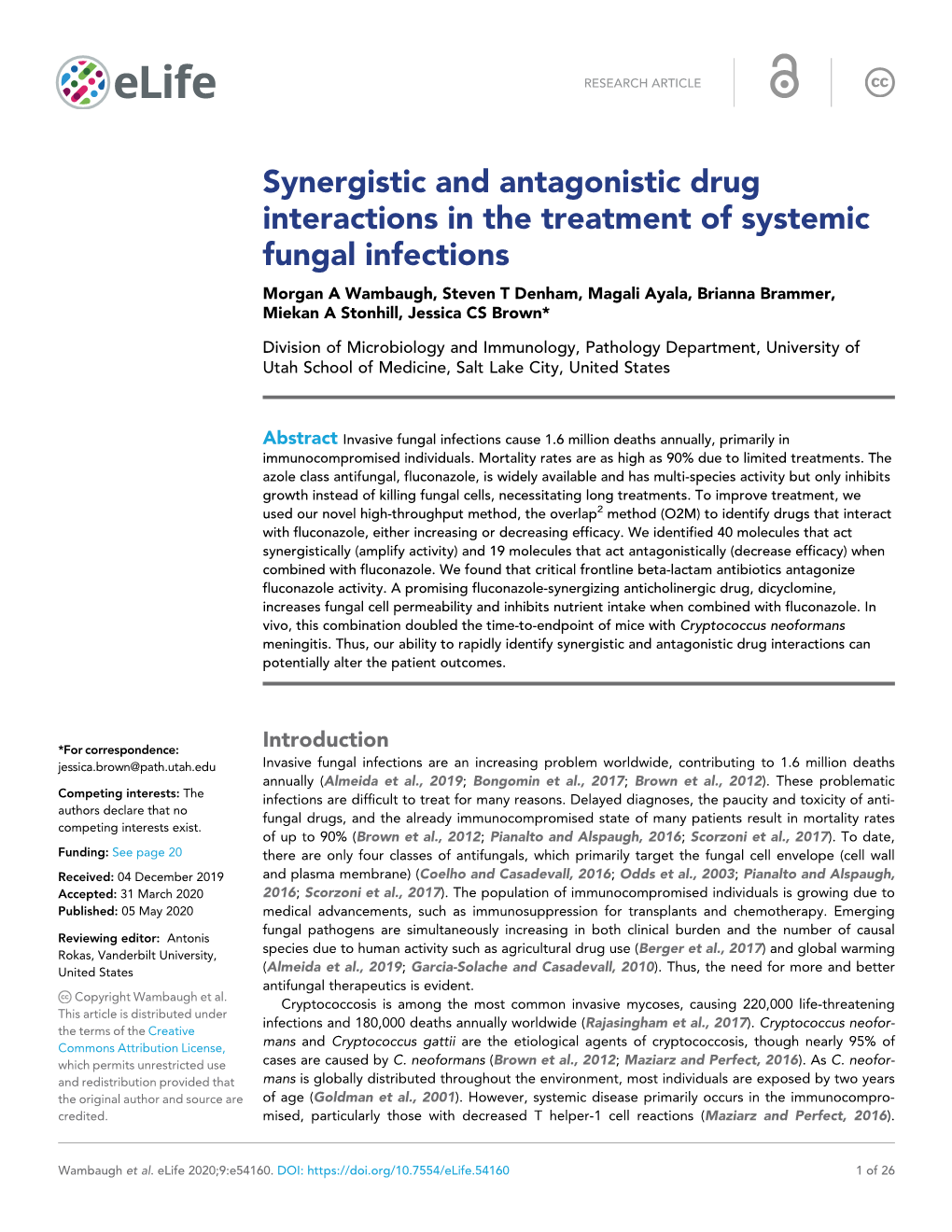 Synergistic and Antagonistic Drug Interactions in the Treatment