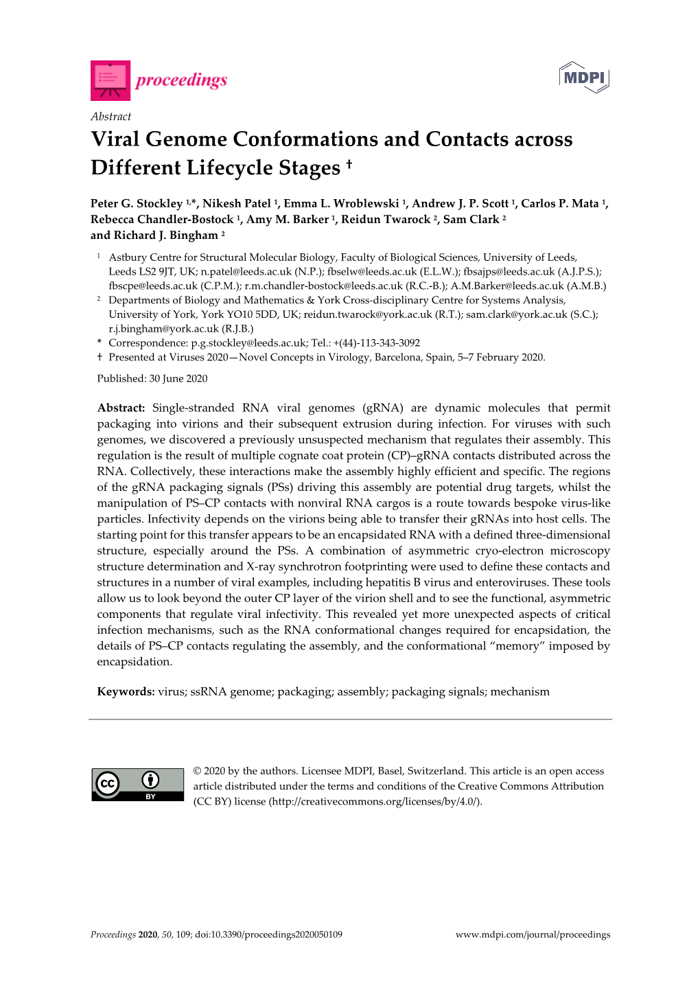 Viral Genome Conformations and Contacts Across Different Lifecycle Stages †