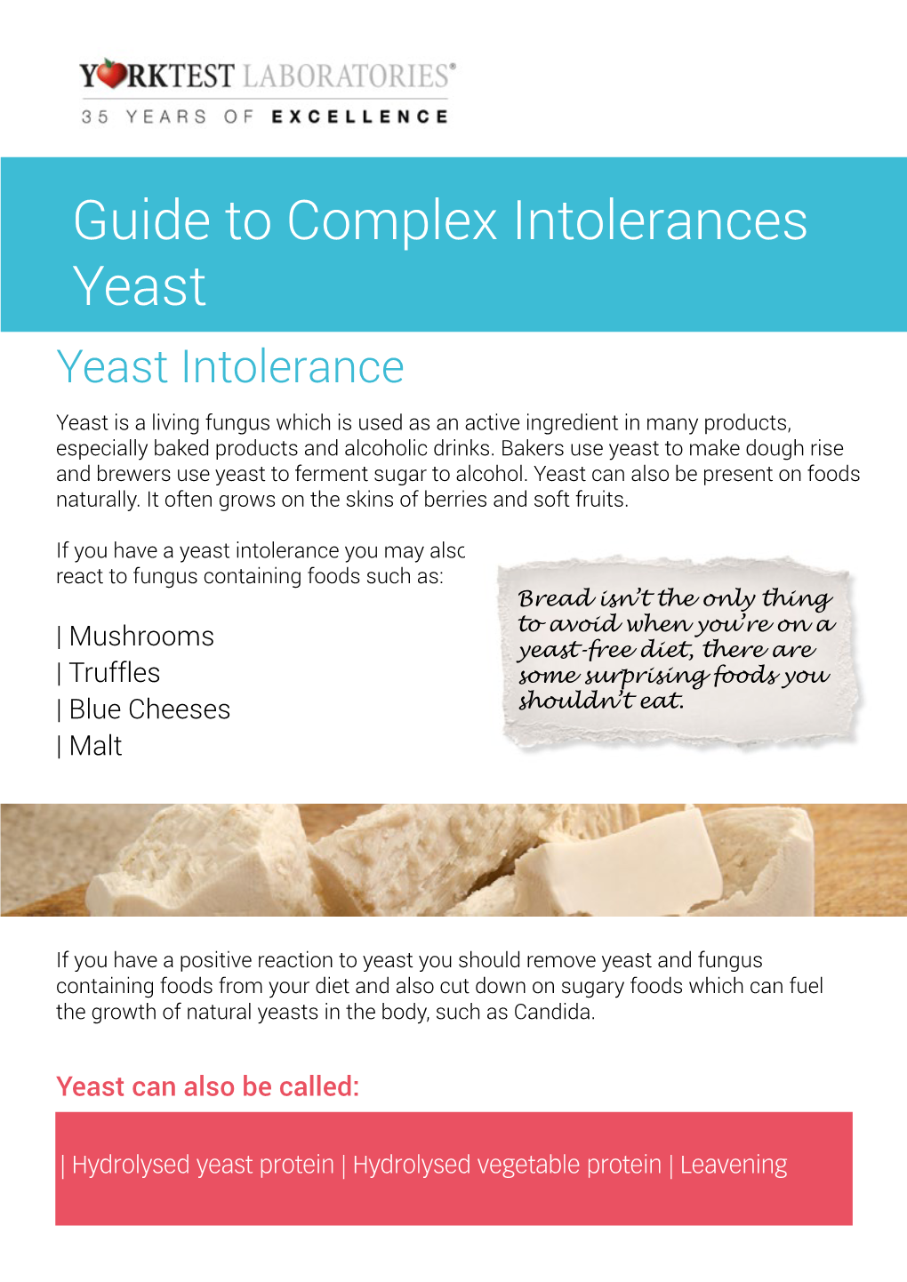 Yeast Yeast Intolerance Yeast Is a Living Fungus Which Is Used As an Active Ingredient in Many Products, Especially Baked Products and Alcoholic Drinks