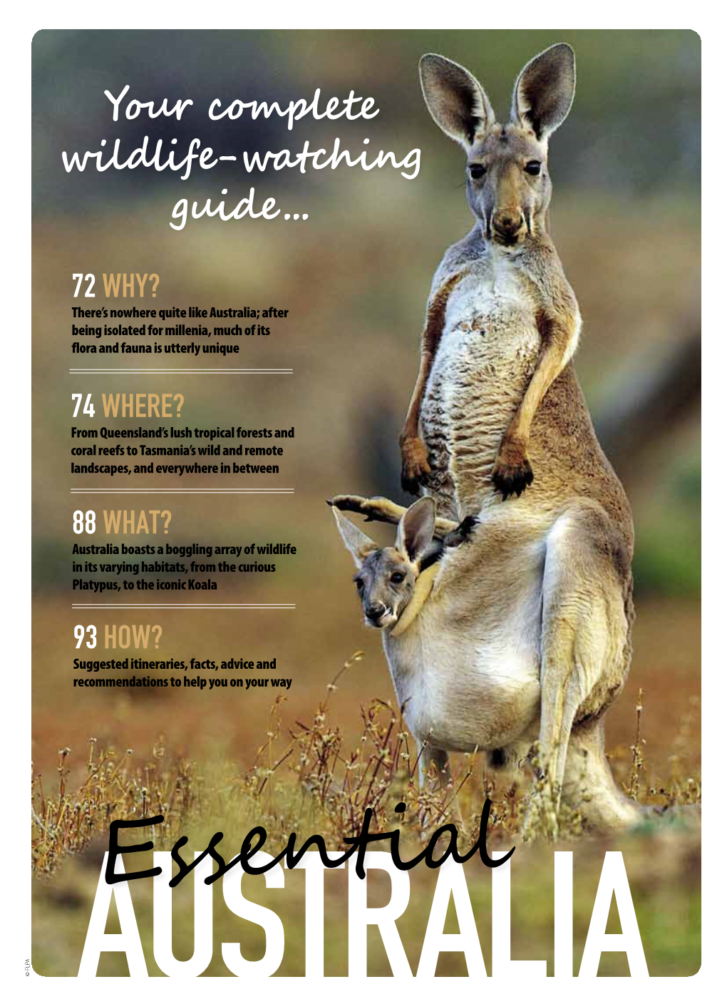 Your Complete Wildlife-Watching Guide