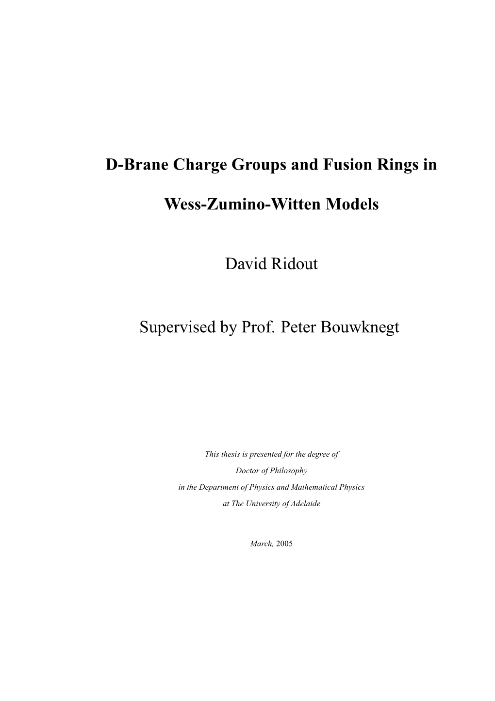 D-Brane Charge Groups and Fusion Rings in Wess-Zumino-Witten Models
