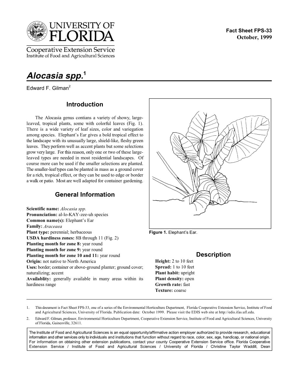 Alocasia Spp.1