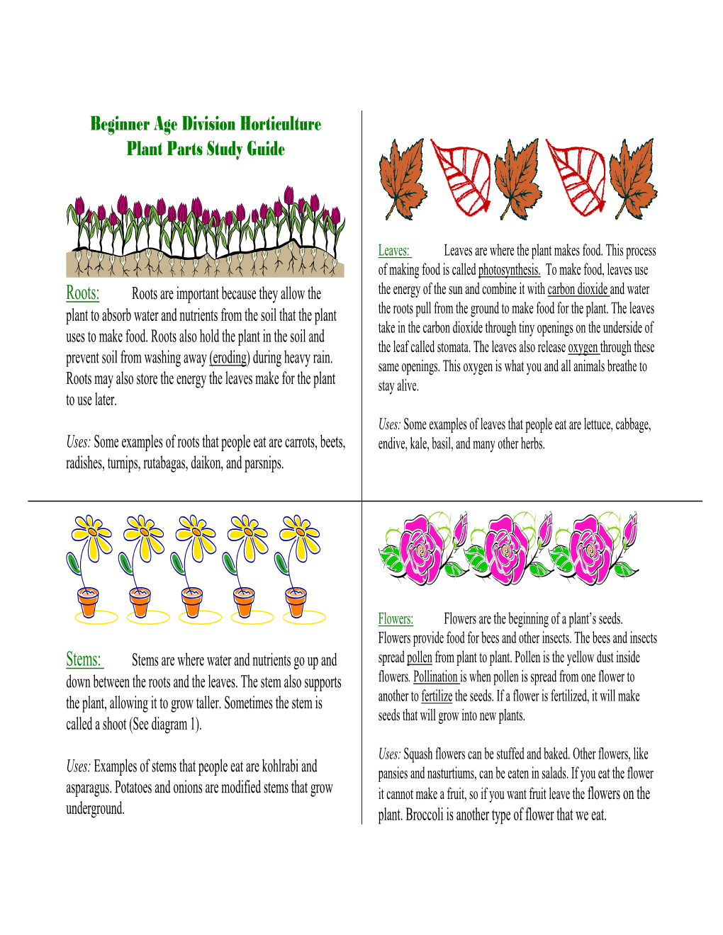 Beginner Age Division Horticulture Plant Parts Study Guide Roots