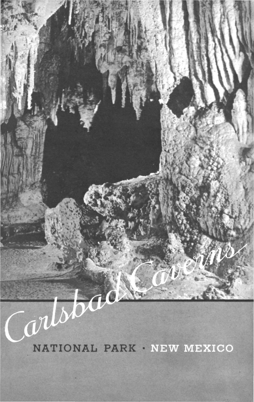 NATIONAL PARK • CARLSBAD CAVERNS J Vaticmal^A^I/^ NEW MEXICO CONTENTS