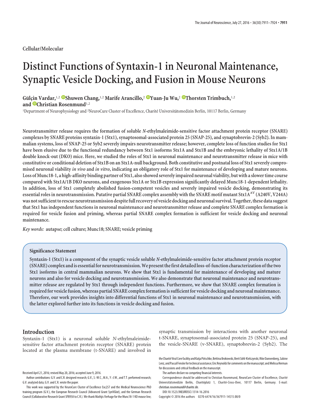 Distinct Functions of Syntaxin-1 in Neuronal Maintenance, Synaptic Vesicle Docking, and Fusion in Mouse Neurons