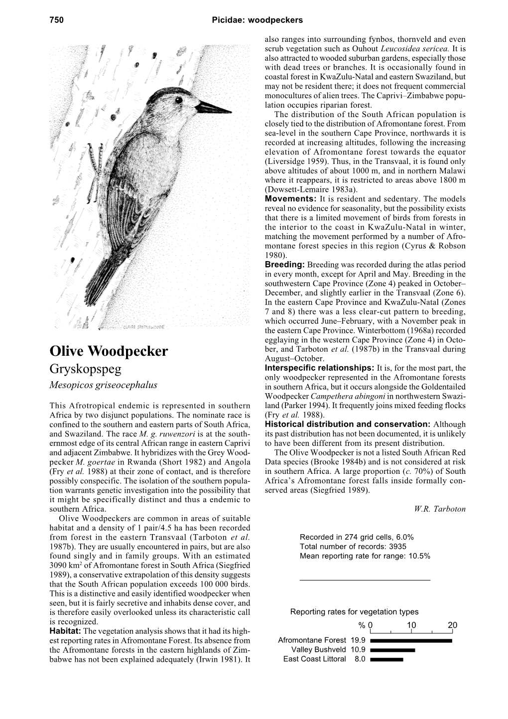 Olive Woodpecker August–October
