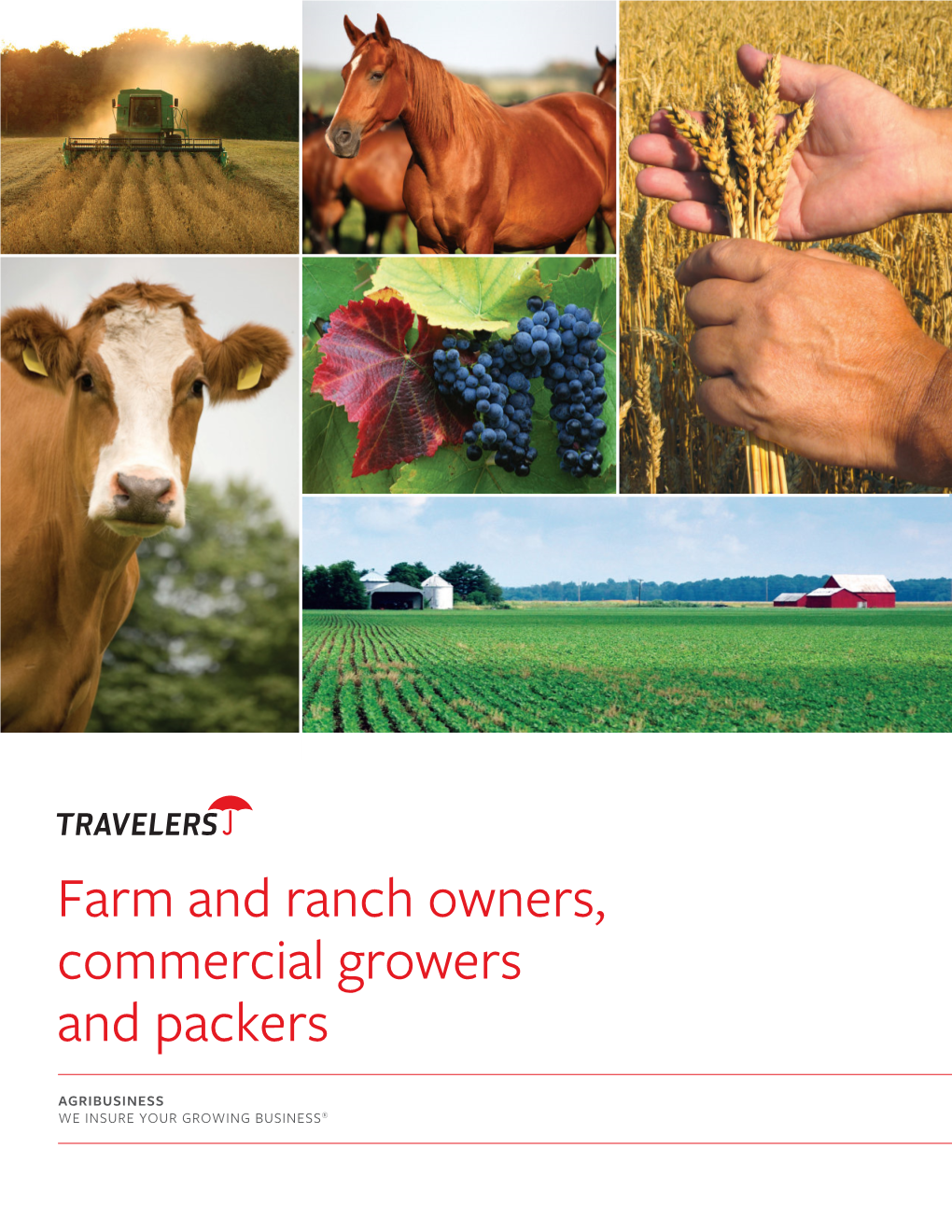 Farm and Ranch Owners, Commercial Growers and Packers