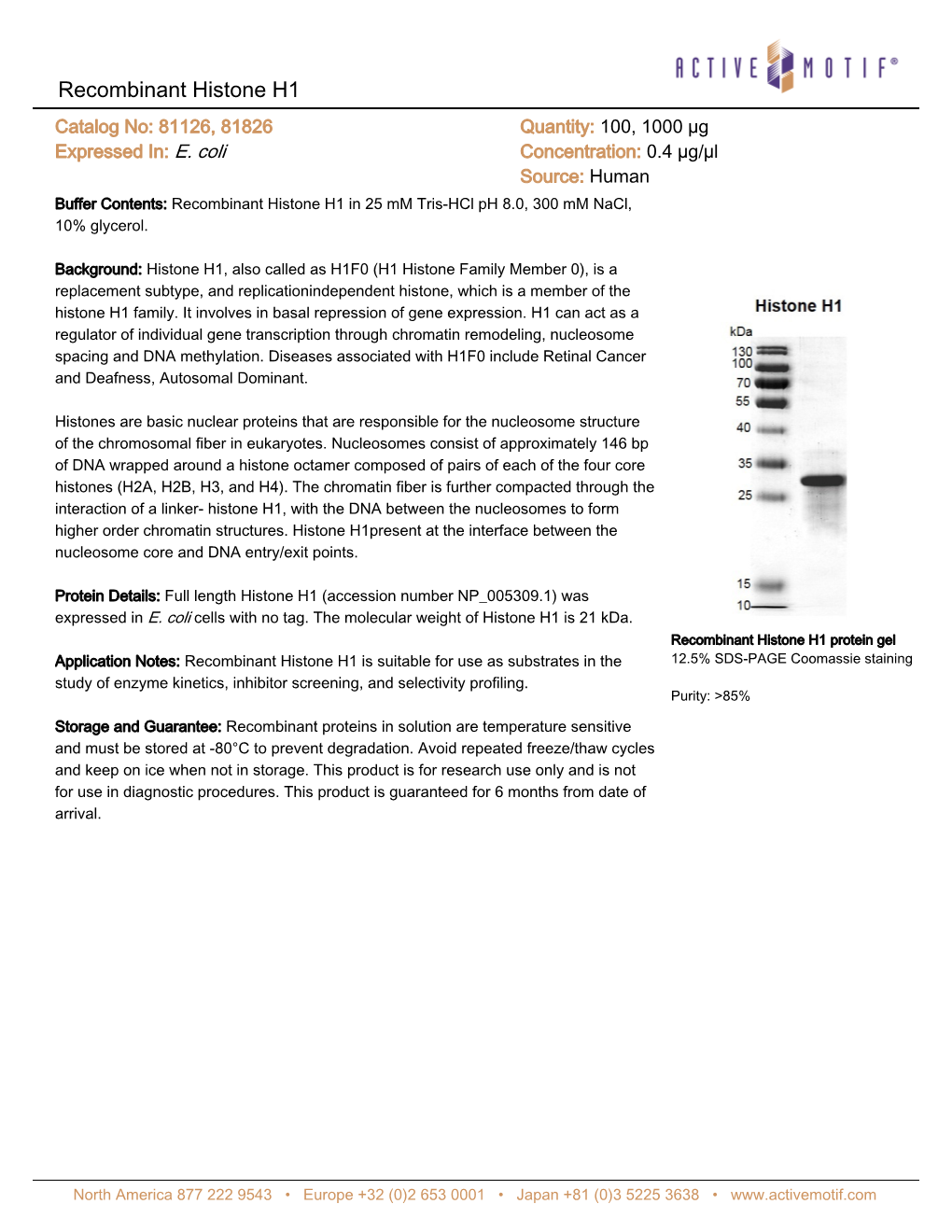 Recombinant Histone H1 Catalog No: 81126, 81826 Quantity: 100, 1000 Μg Expressed In: E