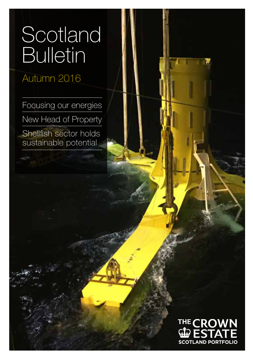 Autumn Bulletin 2016