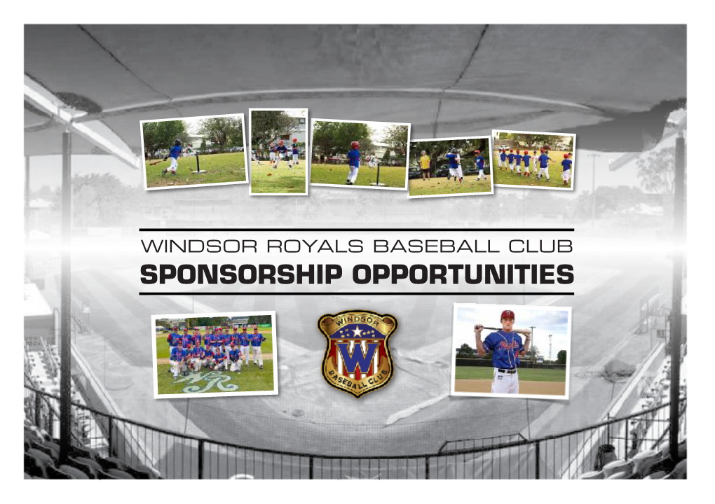 Sponsor Packages 19-20 Web