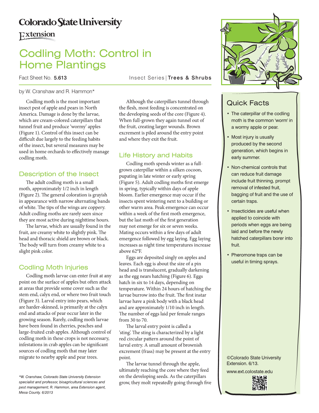 Codling Moth: Control in Home Plantings Fact Sheet No