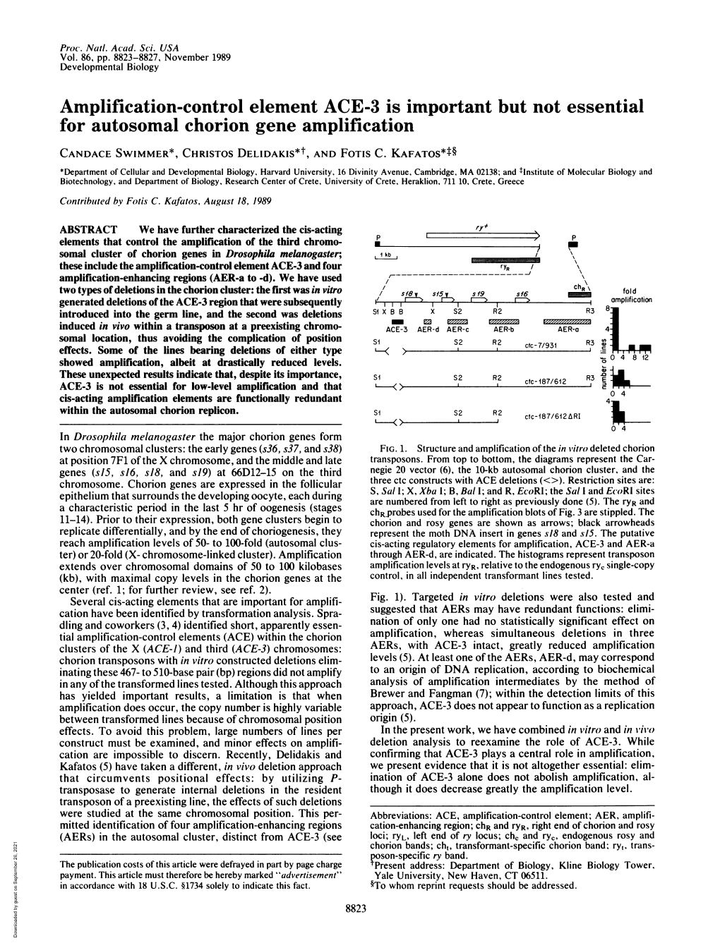 Amplification-Control Element ACE-3 Is Important but Not Essential for Autosomal Chorion Gene Amplification CANDACE SWIMMER*, Christos DELIDAKIS*T, and FOTIS C