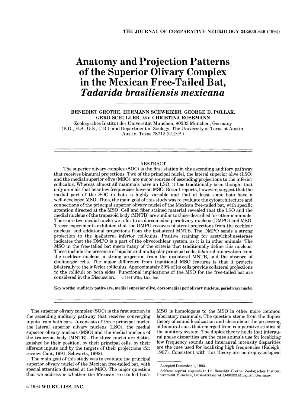 Of the Superior Olivary Complex in the Mexican Free-Tailed Bat, Tadarida Brasiliensis Mexicana