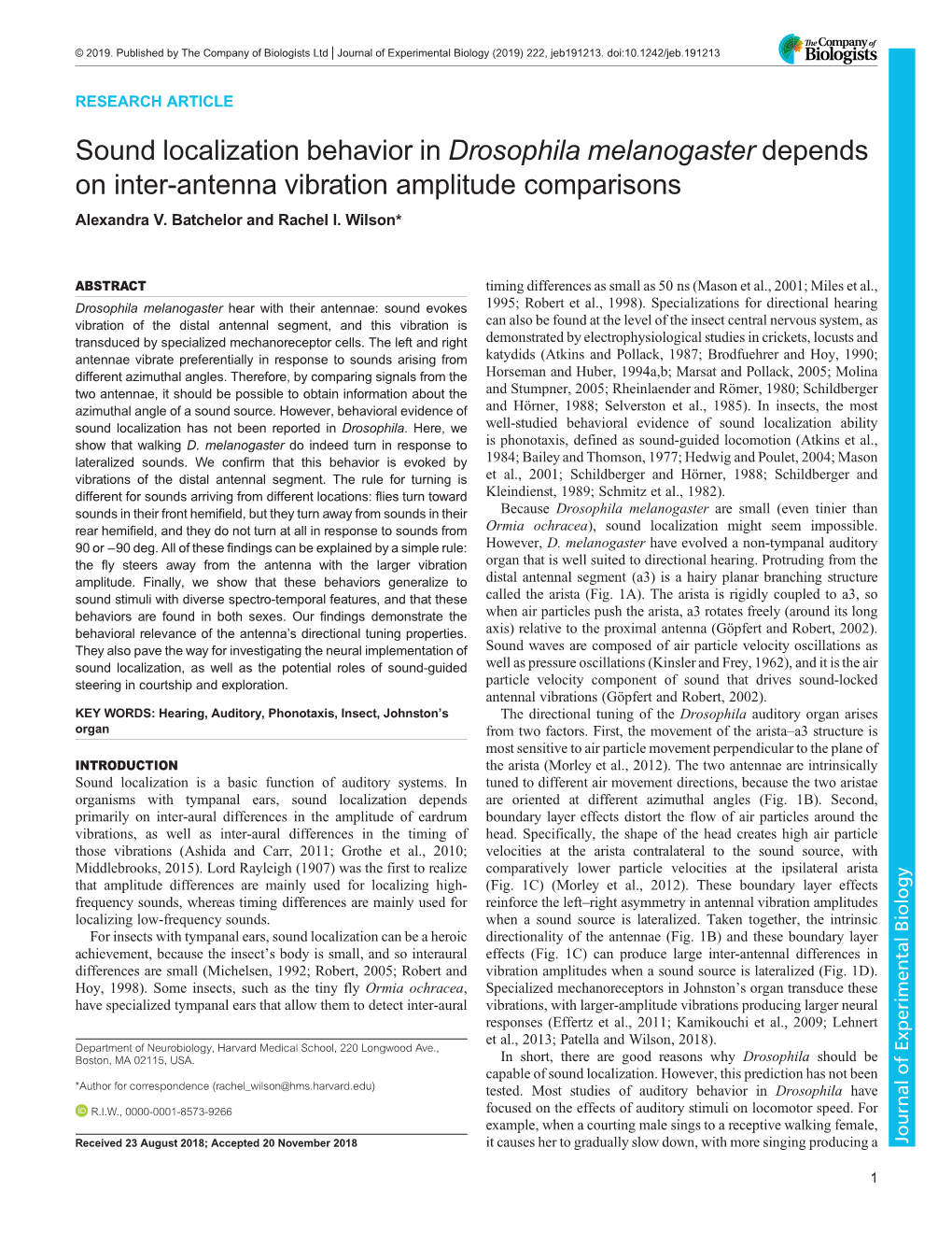 Sound Localization Behavior in Drosophila Melanogaster Depends on Inter-Antenna Vibration Amplitude Comparisons Alexandra V