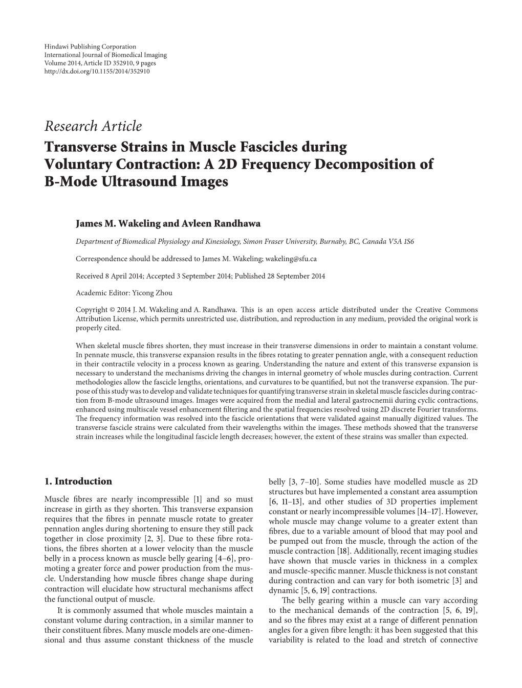 Research Article Transverse Strains in Muscle Fascicles During Voluntary Contraction: a 2D Frequency Decomposition of B-Mode Ultrasound Images