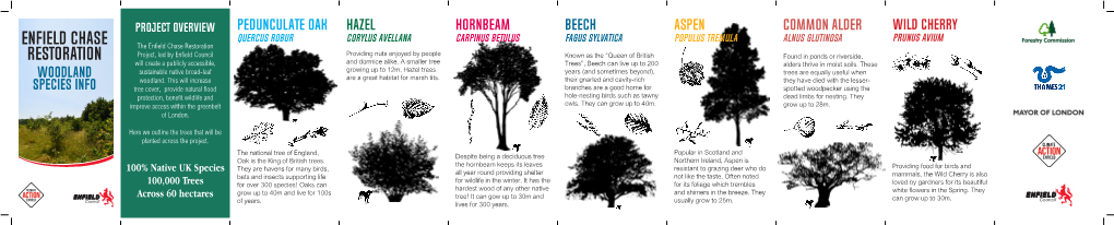 Tree Species Leaflet