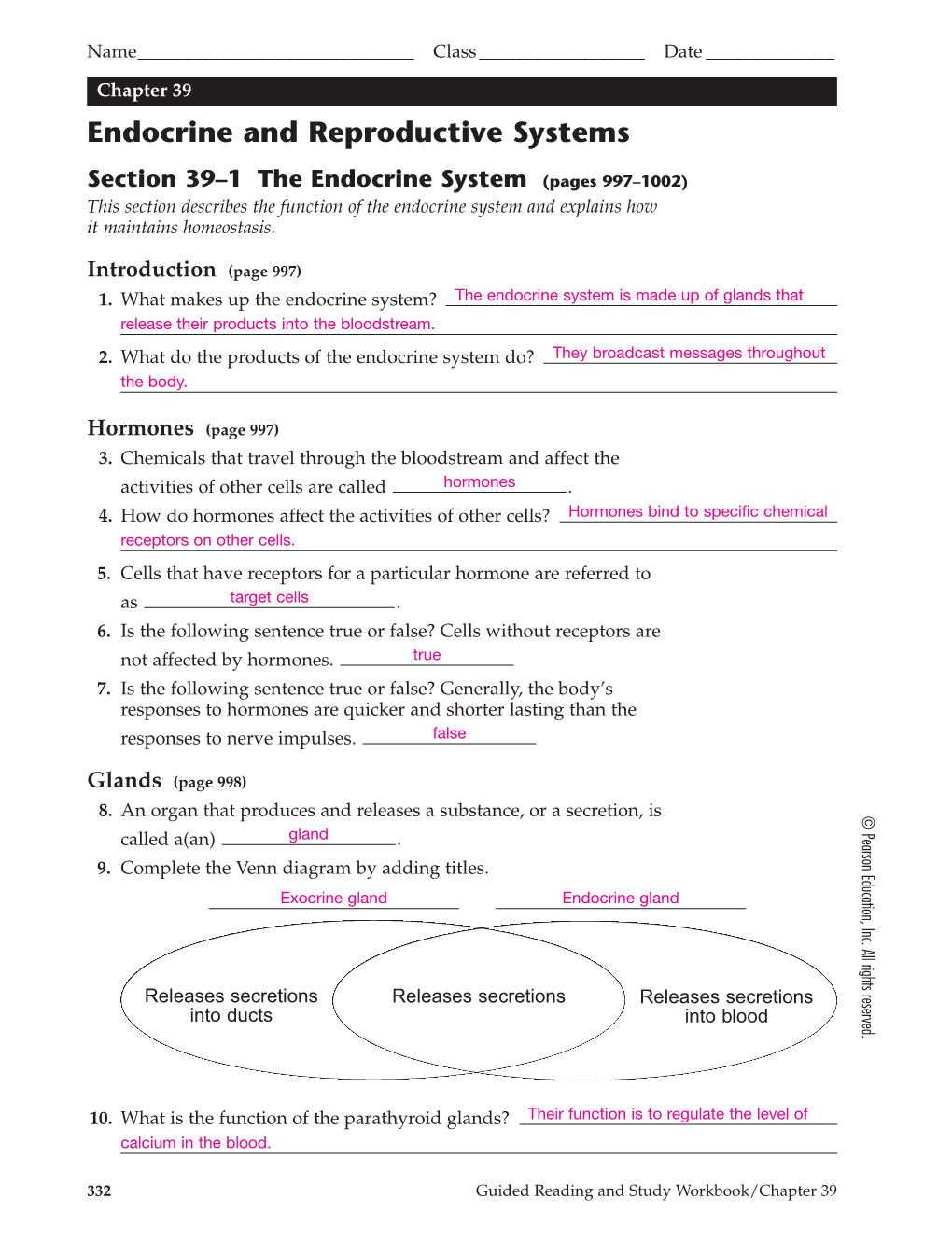 Chapter 39 Endocrine and Reproductive Systems, TE