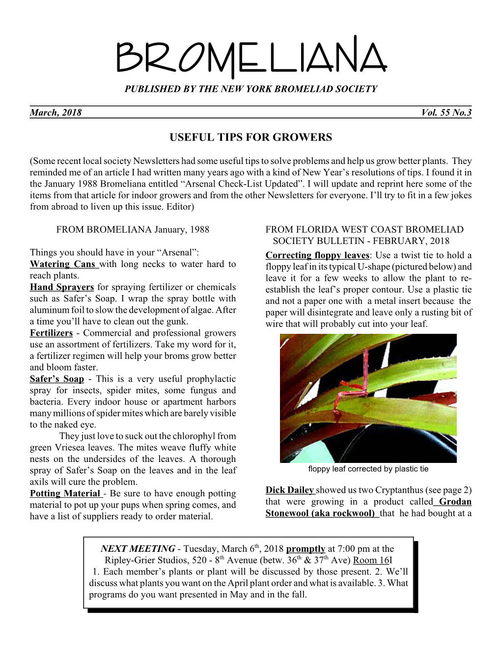 Bromeli Ana Published by the New York Bromeliad Society