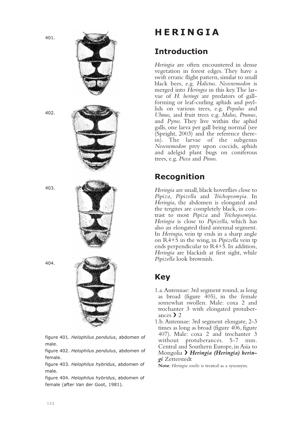 Heringia 401