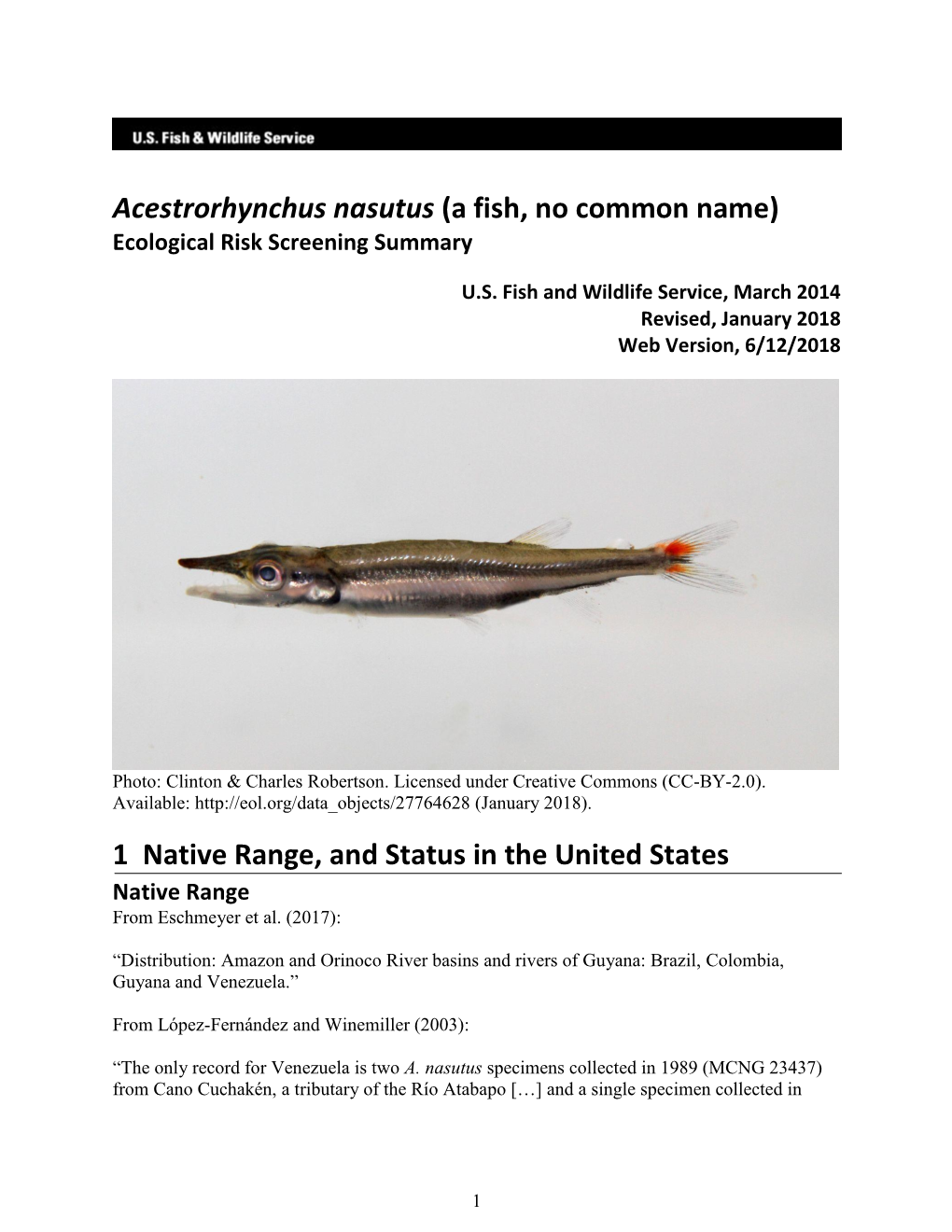 Acestrorhynchus Nasutus (A Fish, No Common Name) Ecological Risk Screening Summary