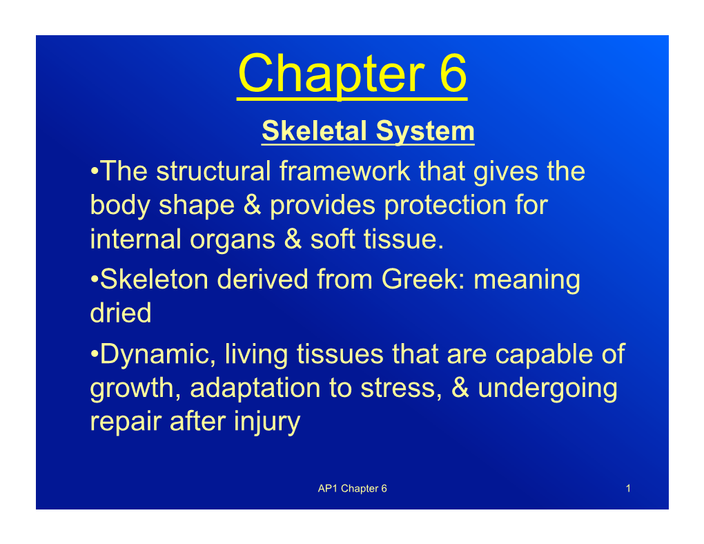 Chapter 6 Skeletal System • the Structural Framework That Gives the Body Shape & Provides Protection for Internal Organs & Soft Tissue