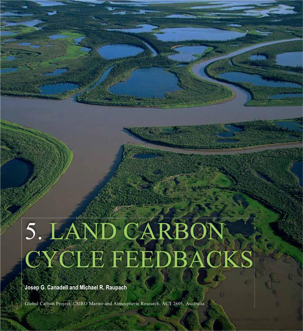 5. Land Carbon Cycle Feedbacks