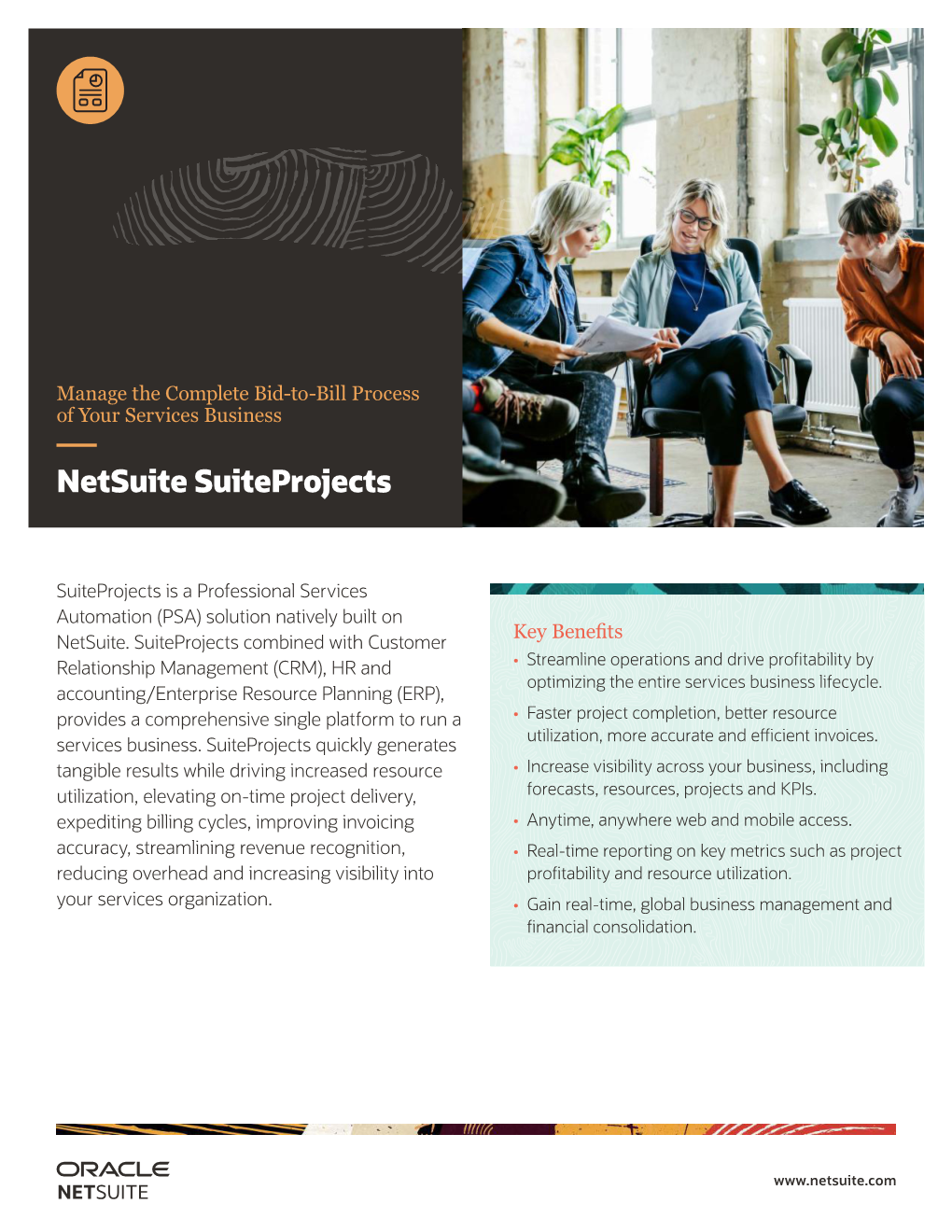 Download Netsuite Suiteprojects Data Sheet