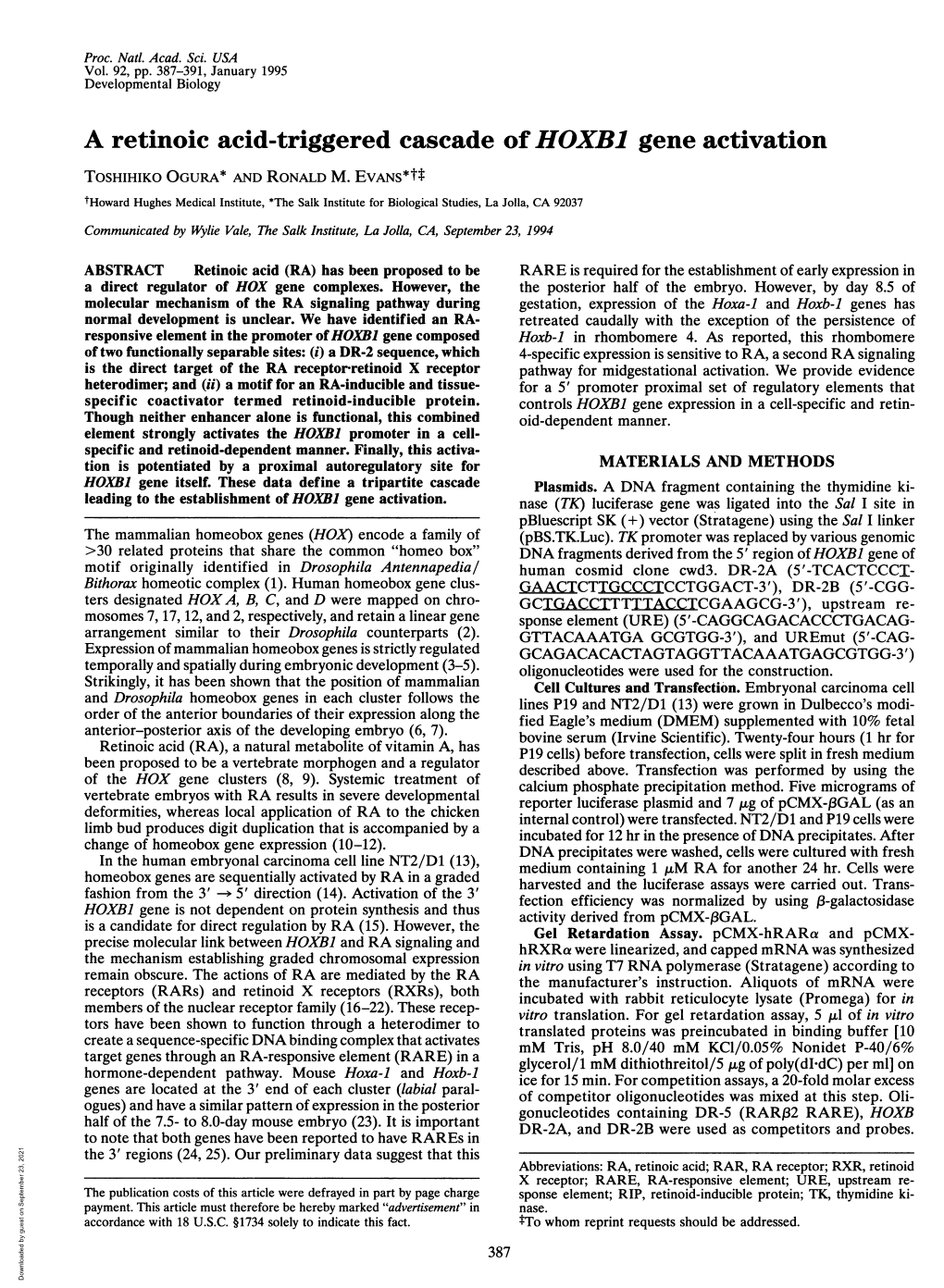 A Retinoic Acid-Triggered Cascade Ofhoxb1 Gene Activation