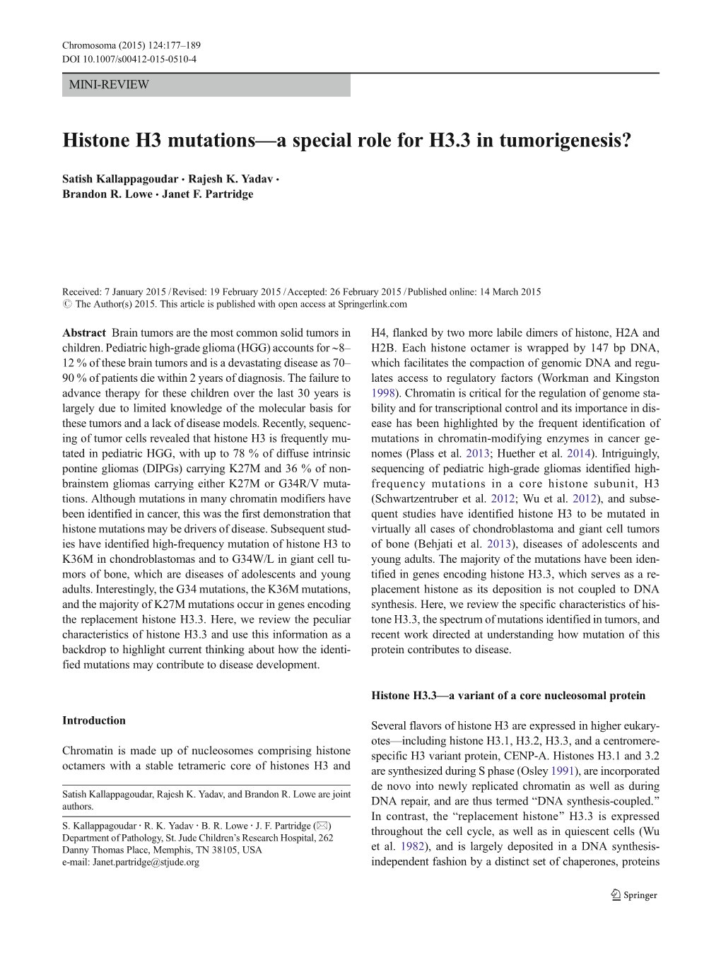 Histone H3 Mutations—A Special Role for H3.3 in Tumorigenesis?