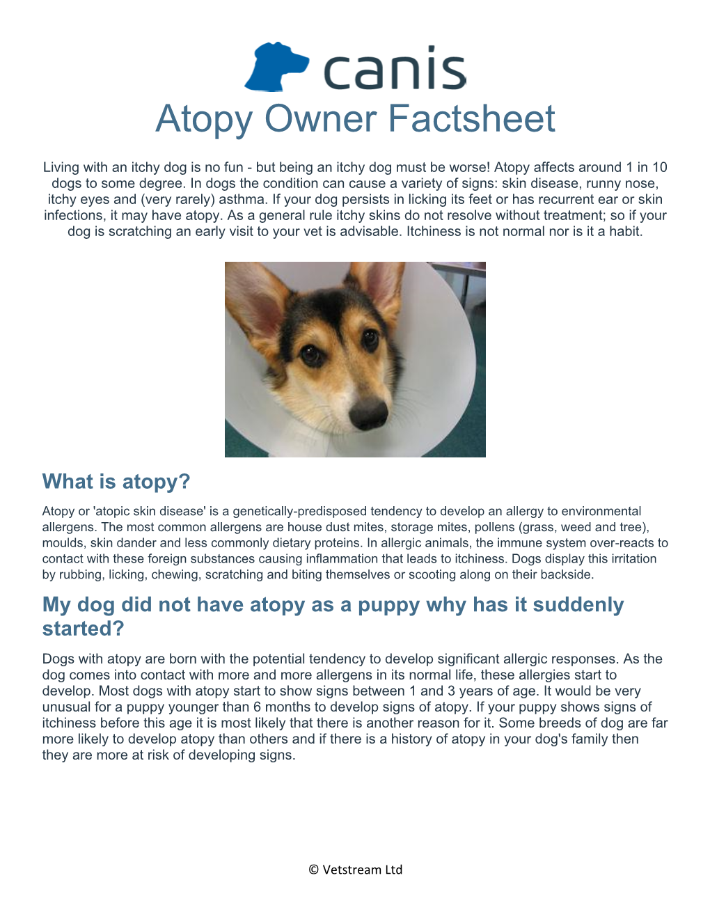 Atopy Owner Factsheet