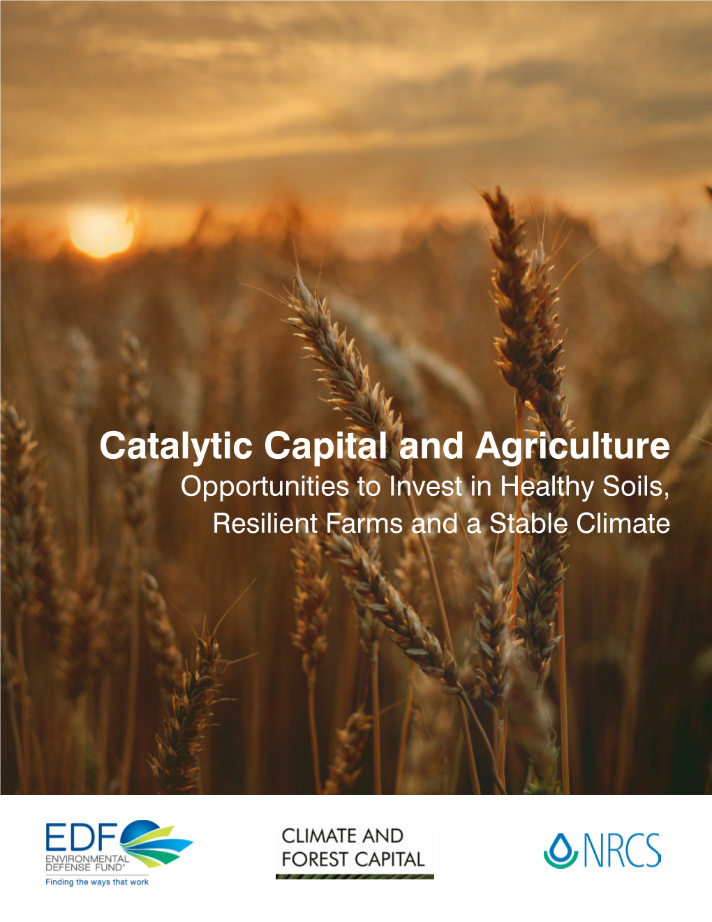 Catalytic Capital and Agriculture