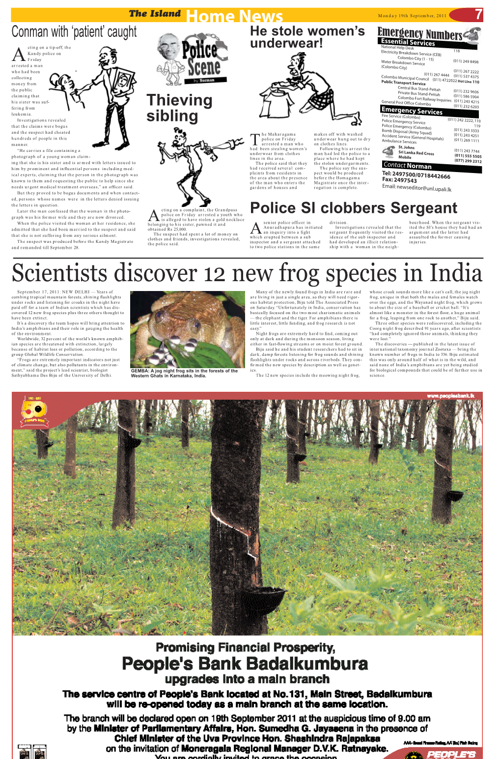 Scientists Discover 12 New Frog Species in India