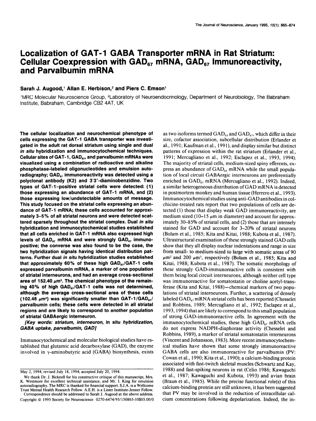 Localization of GAT-1 GABA Transporter Mrna in Rat Striatum: Cellular Coexpression with GAD,, Mrna, GAD,, Immunoreactivity, and Parvalbumin Mrna