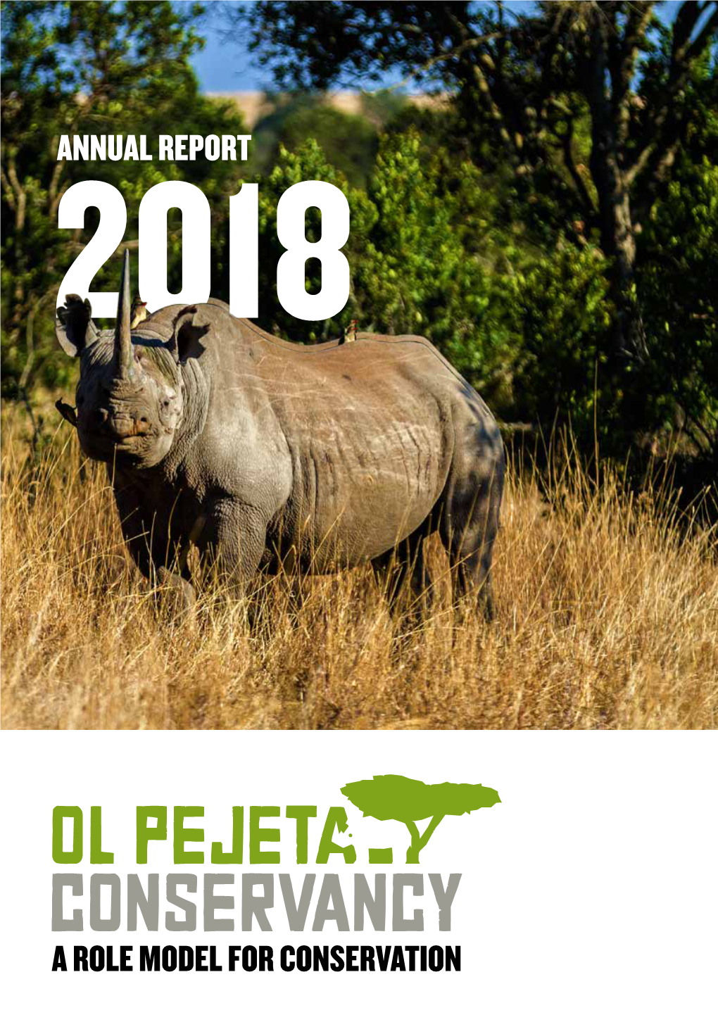 Annual Report 2018