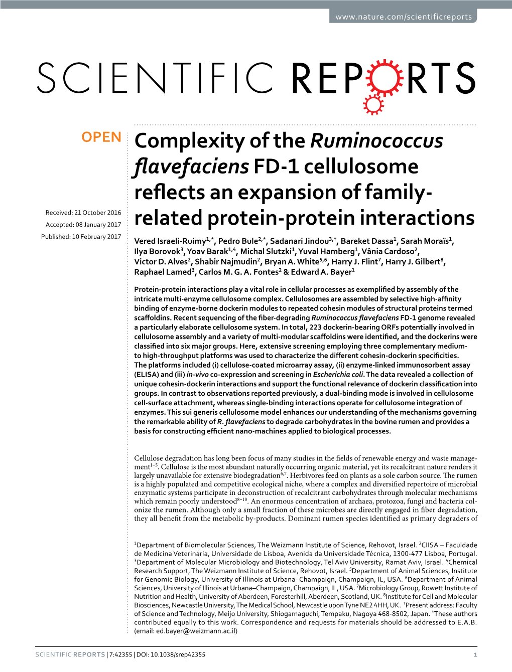 Complexity of the Ruminococcus Flavefaciens FD-1
