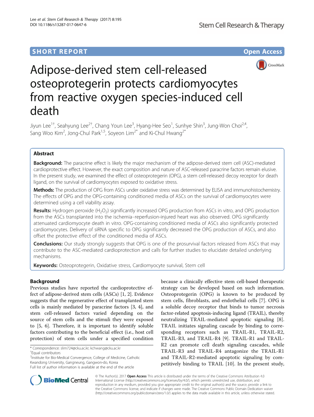 Adipose-Derived Stem Cell-Released Osteoprotegerin Protects