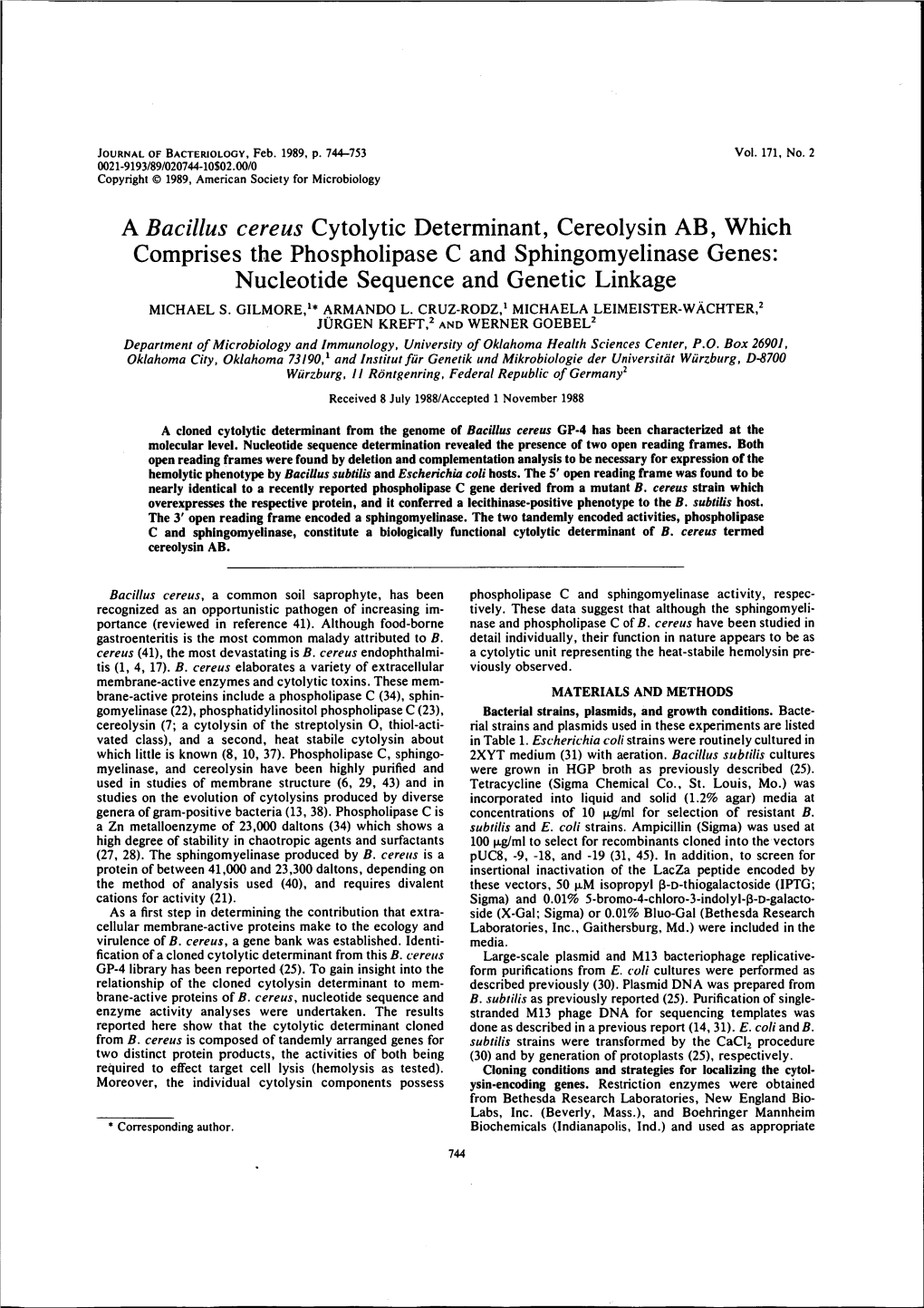 Bacillus Cereus