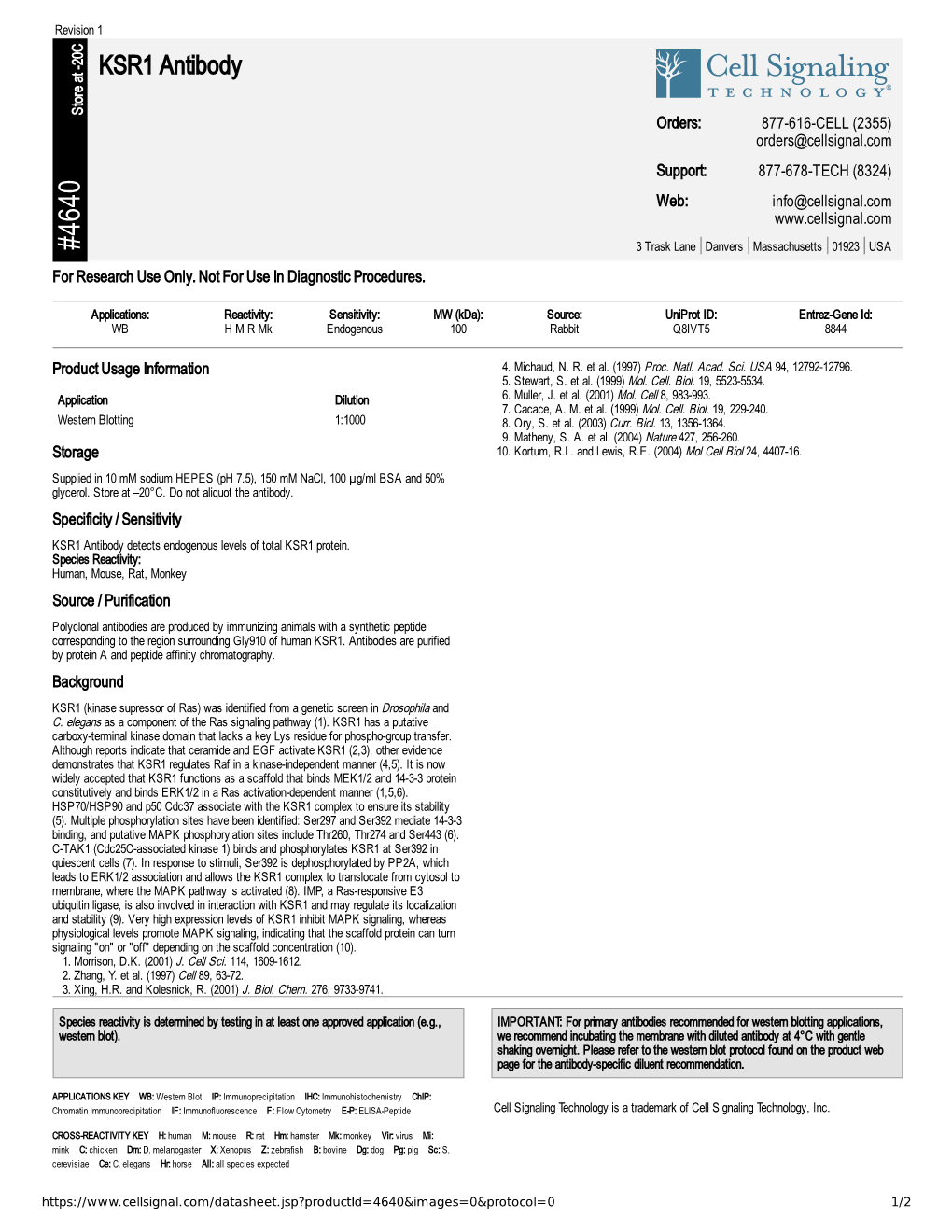 KSR1 Antibody A