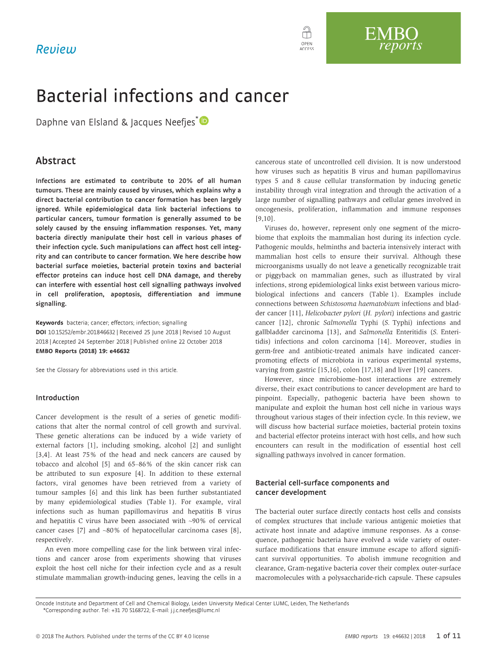 Bacterial Infections and Cancer