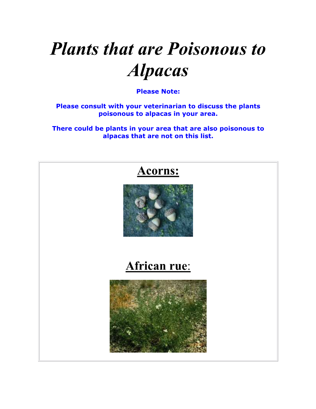 Plants That Are Poisonous to Alpacas
