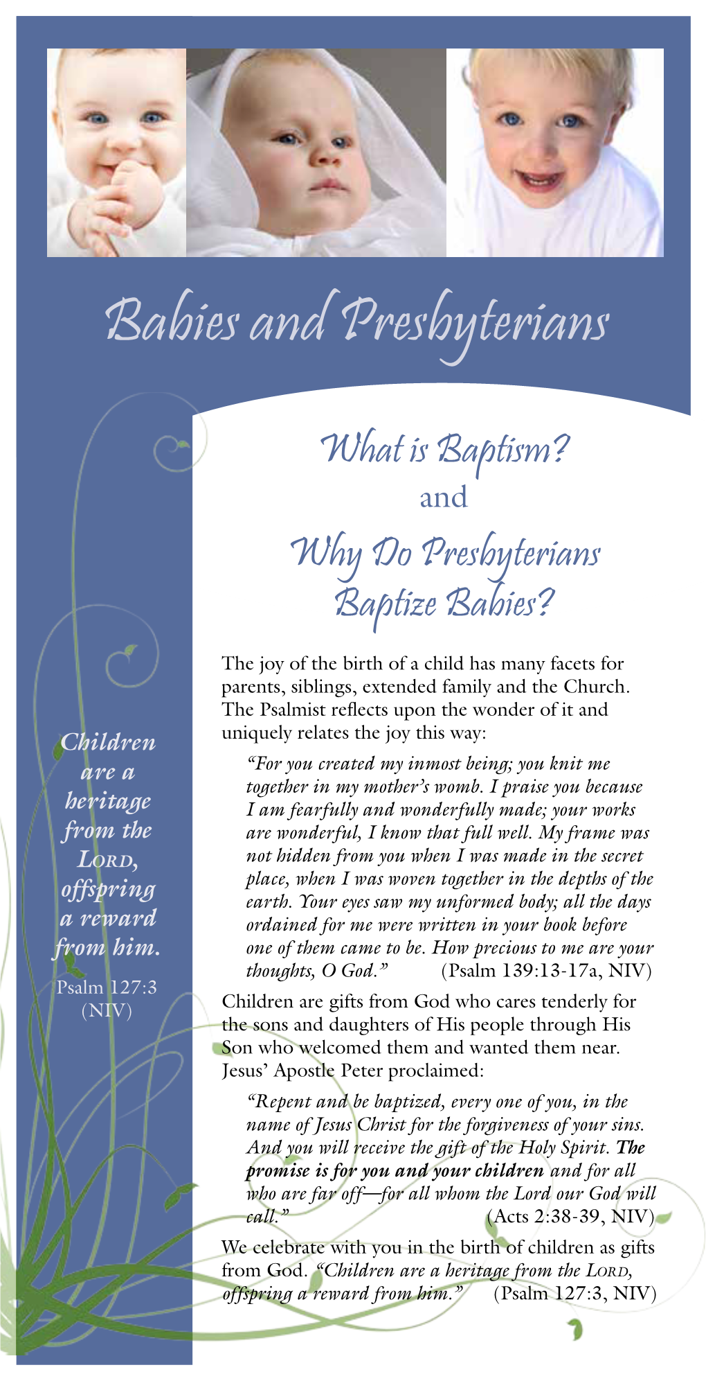 Babies and Presbyterians