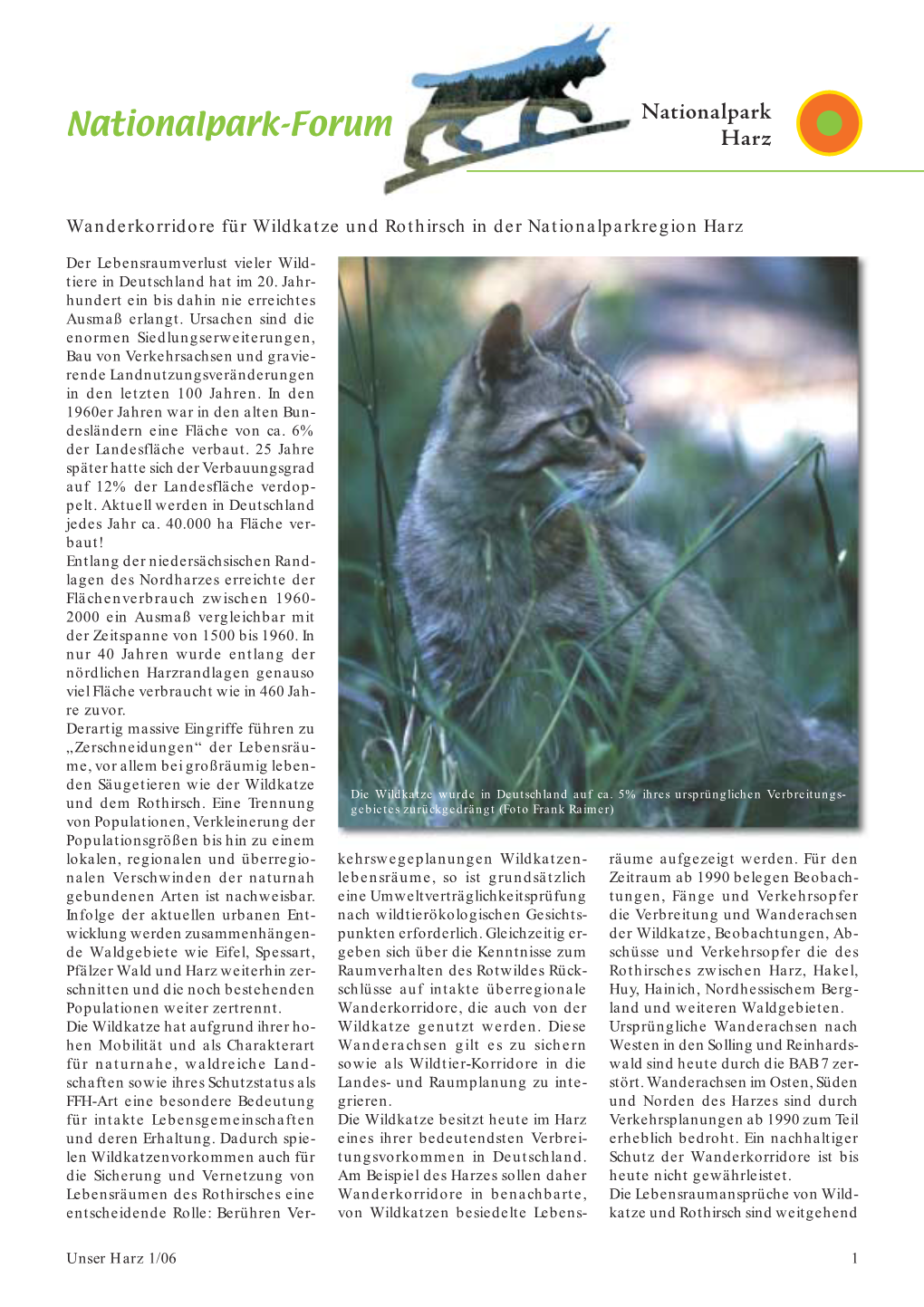 Wanderkorridore Für Wildkatze Und Rothirsch in Der Nationalparkregion Harz