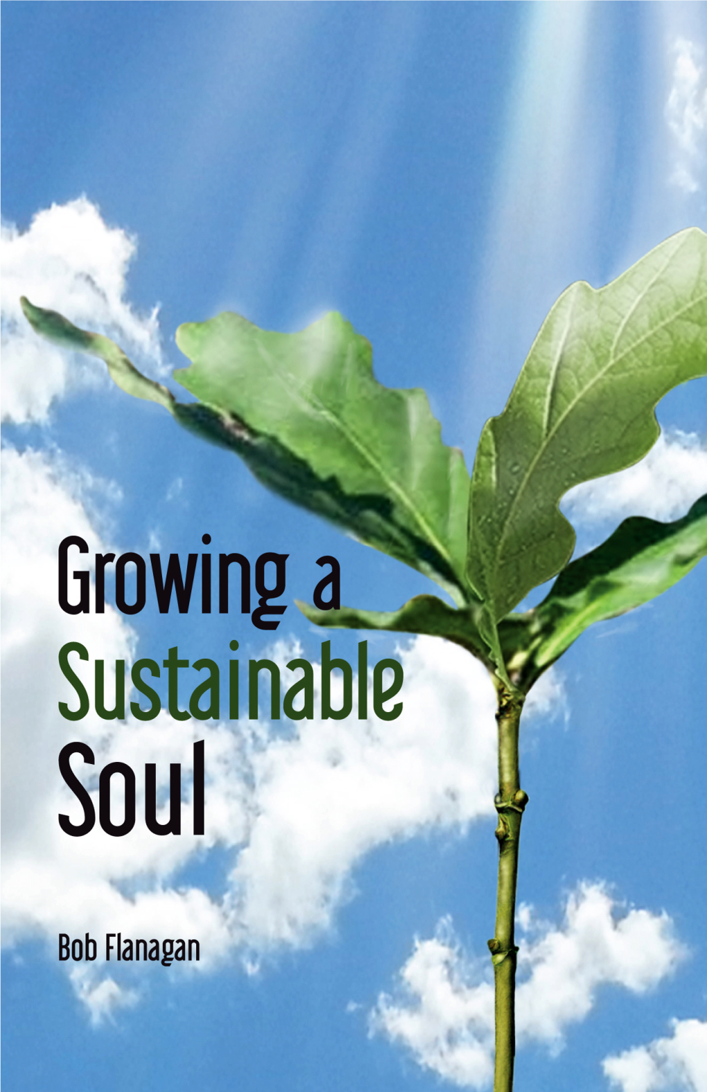 A Sustainable Soul