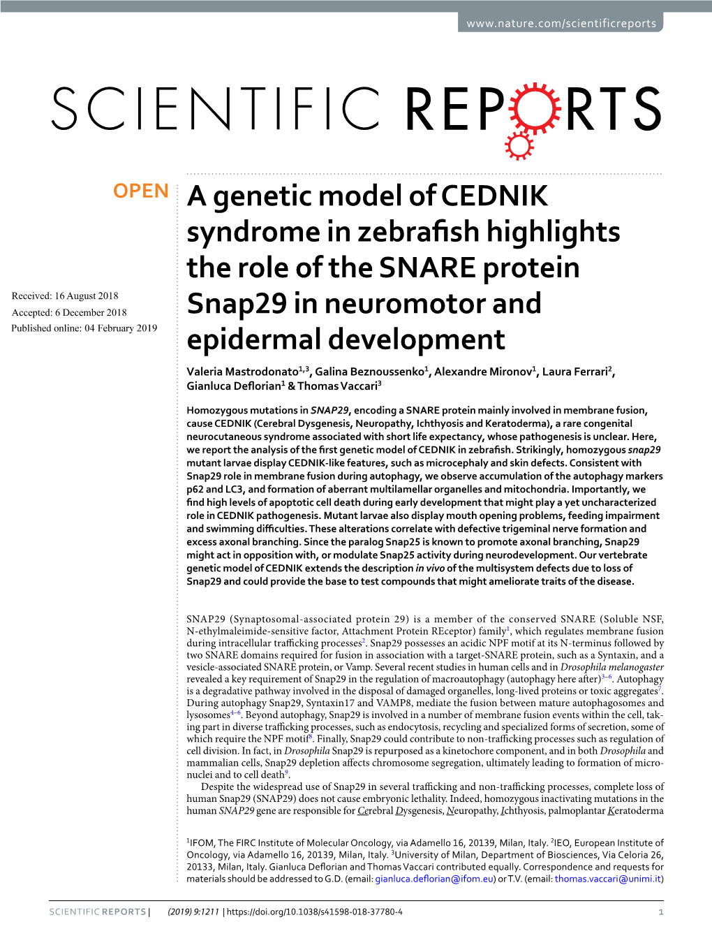A Genetic Model of CEDNIK Syndrome in Zebrafish Highlights the Role Of