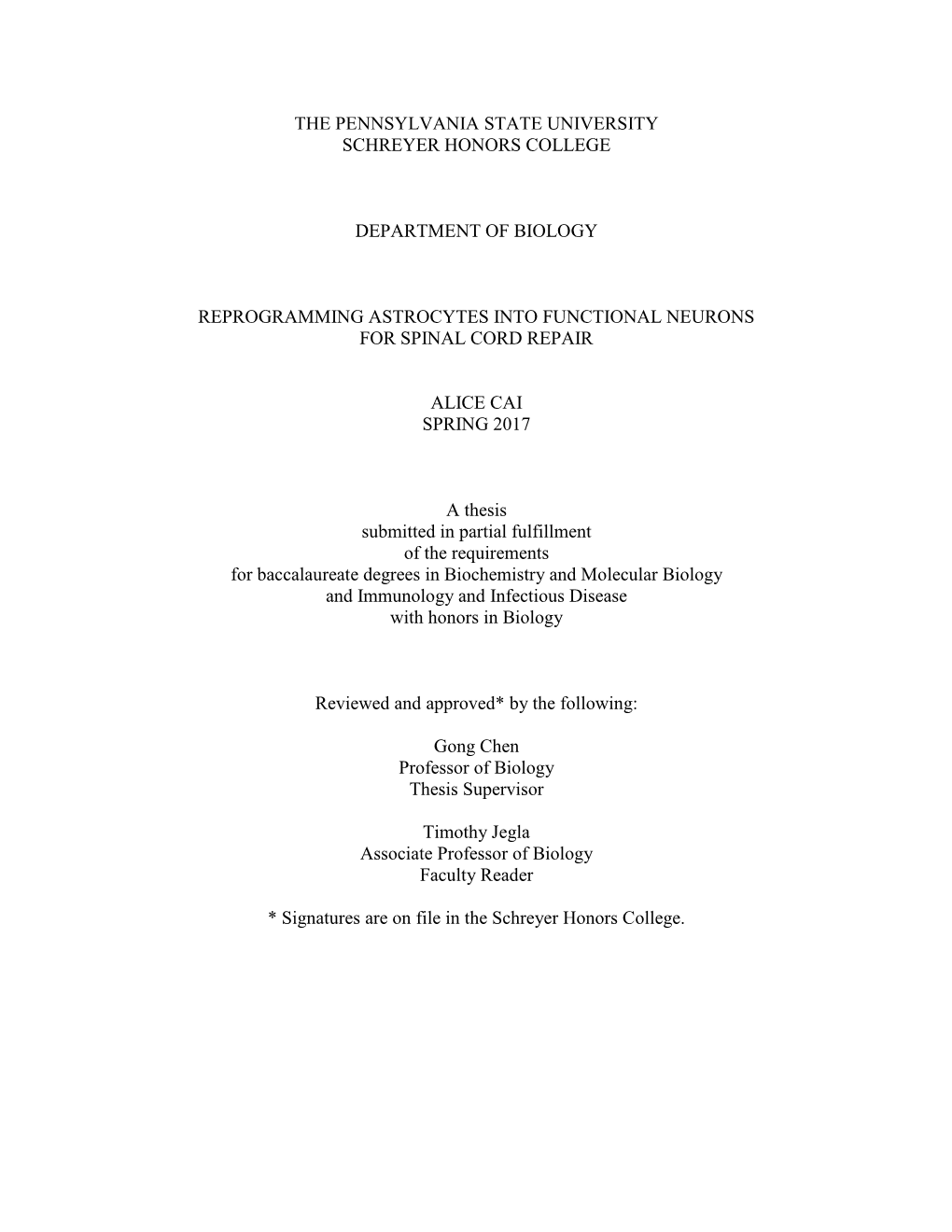 Open Cai Thesis Edited.Pdf