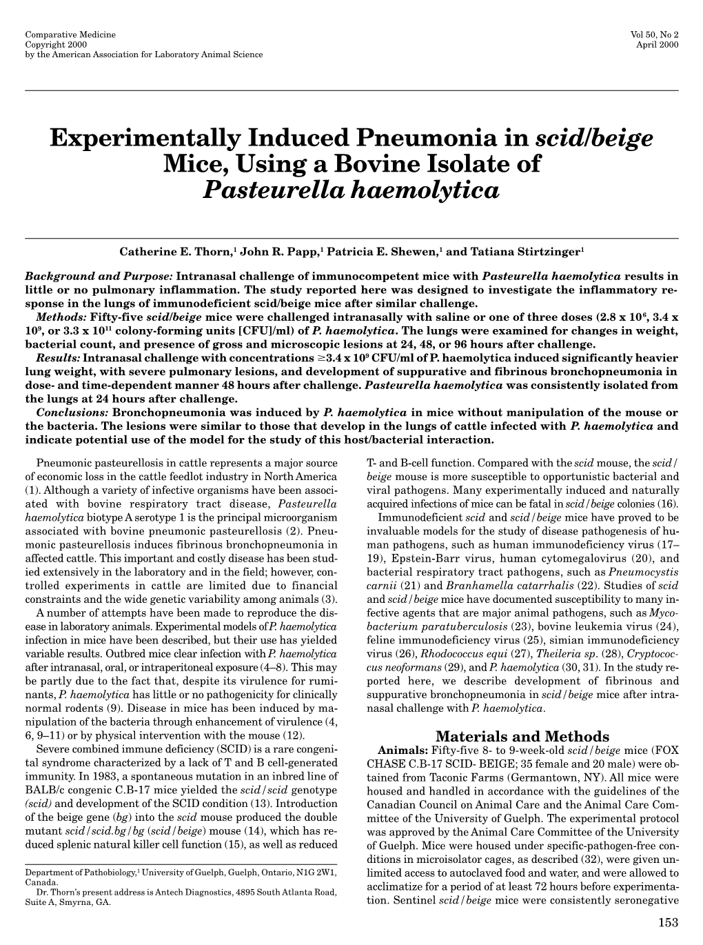 Experimentally Induced Pneumonia in <I>Scid/Beige</I> Mice, Using A