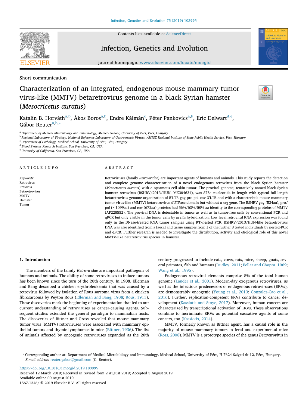 Characterization of an Integrated, Endogenous Mouse Mammary Tumor Virus-Like (MMTV) Betaretrovirus Genome in a Black Syrian Hamster T (Mesocricetus Auratus)