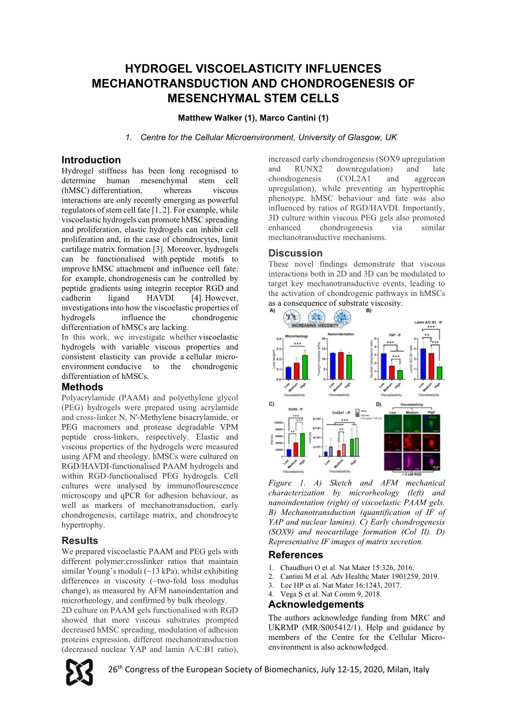 Hydrogel Viscoelasticity Influences Mechanotransduction and Chondrogenesis of Mesenchymal Stem Cells