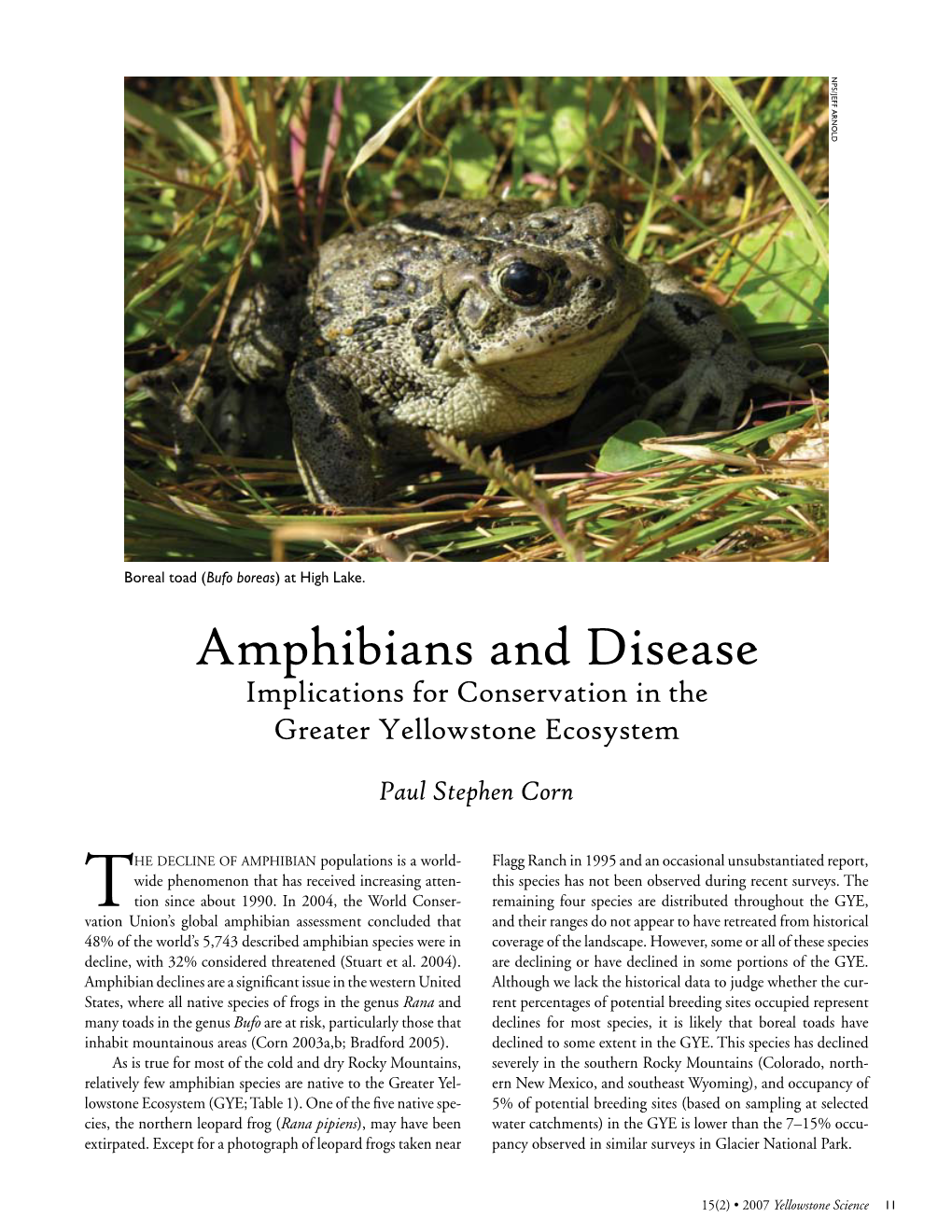 Amphibians and Disease: Implications for Conservation in the Greater