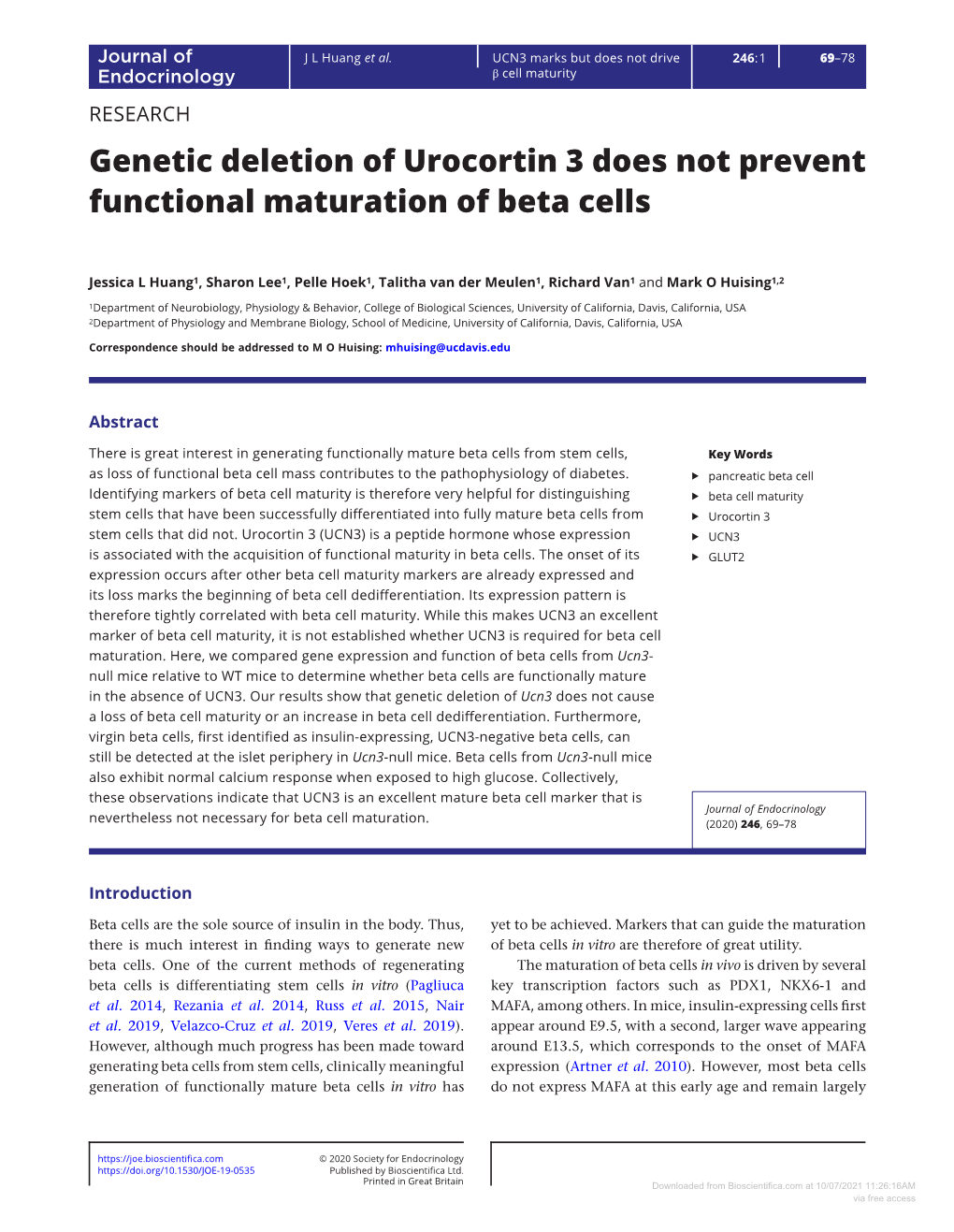 Genetic Deletion of Urocortin 3 Does Not Prevent Functional Maturation of Beta Cells